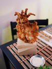 Butterfly Squid